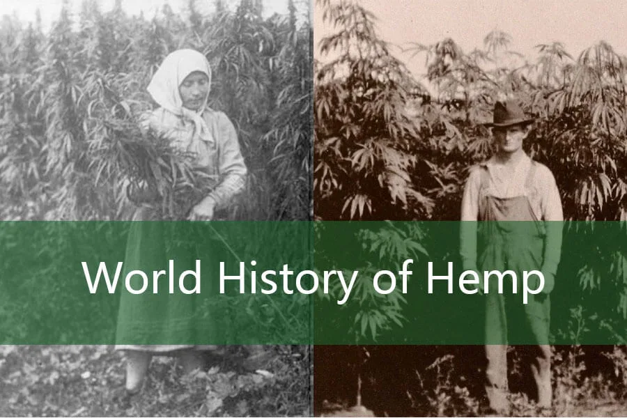 De ontwikkelingsgeschiedenis van hennep en productgebruik 4 World History of Hemp