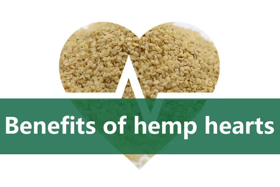 4 belangrijkste voordelen van hennepharten! 5 benefits of hemp hearts