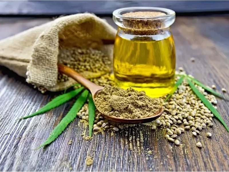 Duurzaamheid door biologische hennepteelt en productie van hennepzaadolie 2 hemp seed oil