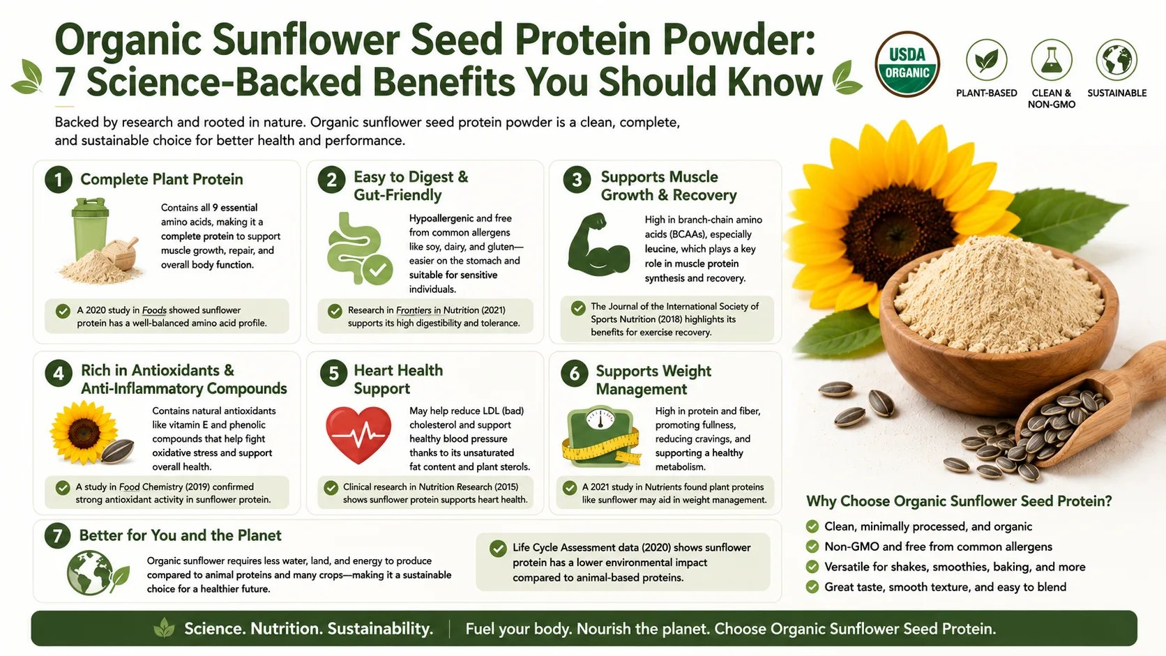 Biologisch zonnebloempitten-eiwitpoeder: 7 wetenschappelijk onderbouwde voordelen die u moet kennen 11 Organic Sunflower Seed Protein Powder 7 Science-Backed Benefits You Should Know